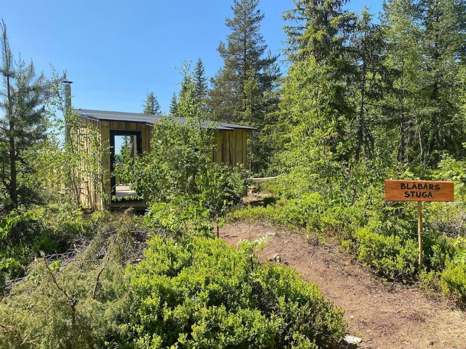 Forest Cabin With Stunning Mountain View & Sauna Torsby Kültér fotó