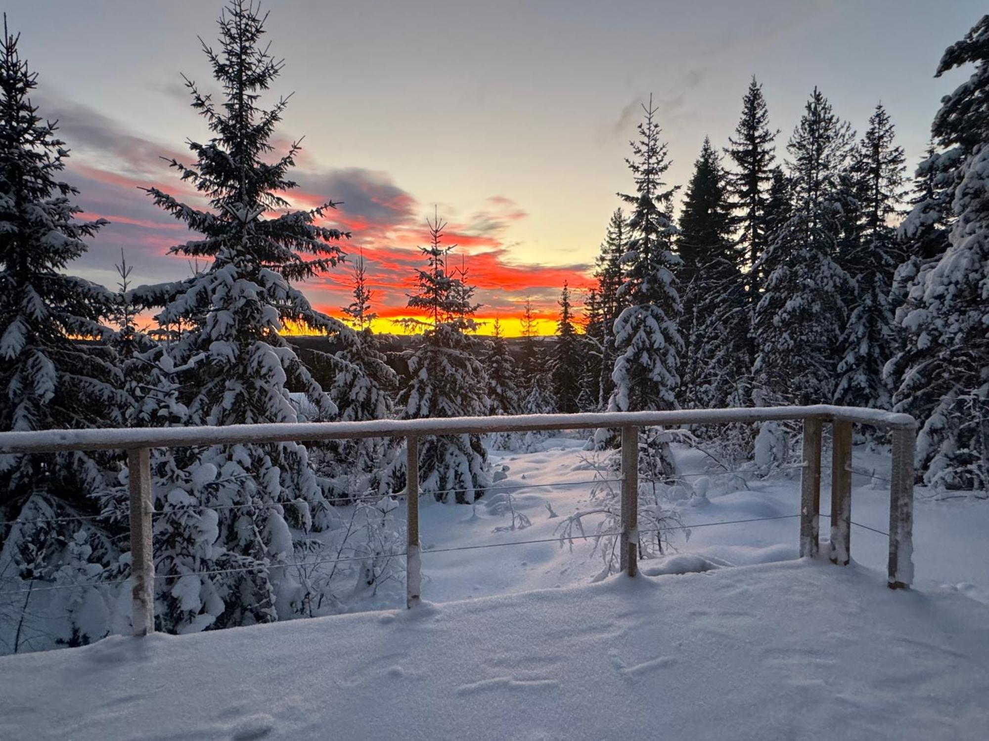 Forest Cabin With Stunning Mountain View & Sauna Torsby Kültér fotó